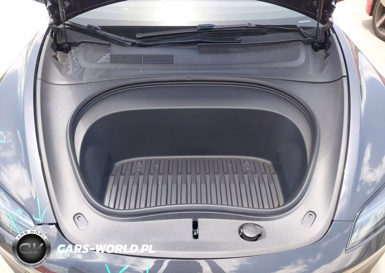 2025 Tesla Model 3 Long Range Rear-Wheel Drive-Standard Rear-Wheel Drive VIN:5YJ3E1EAXSF899461 - 10