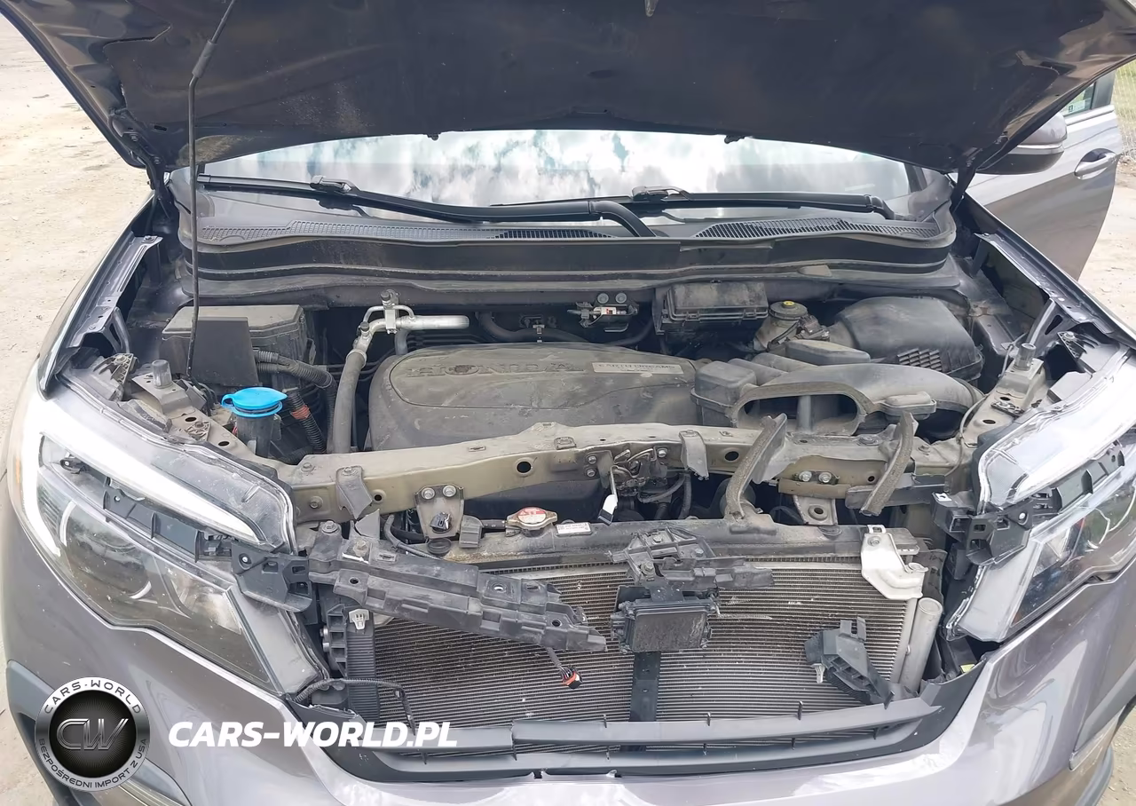 2019 Honda Pilot Ex VIN:5FNYF6H34KB020050 - 10