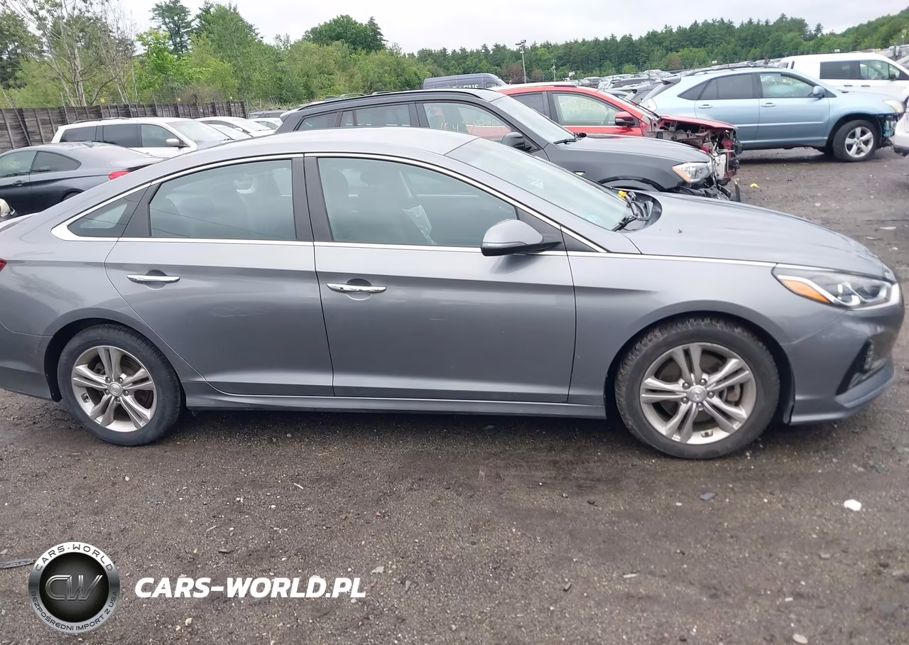 2018 Hyundai Sonata Sel VIN:5NPE34AF0JH673320 - 13