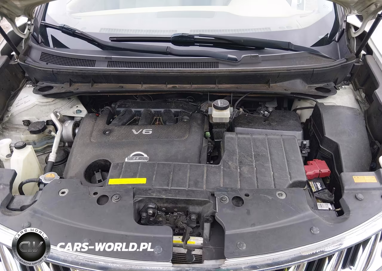 2010 Nissan Murano Sl VIN:JN8AZ1MU5AW018879 - 10
