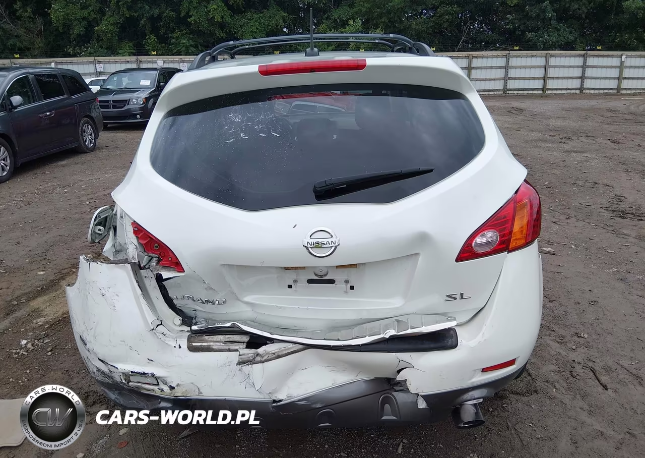 2010 Nissan Murano Sl VIN:JN8AZ1MU5AW018879 - 16