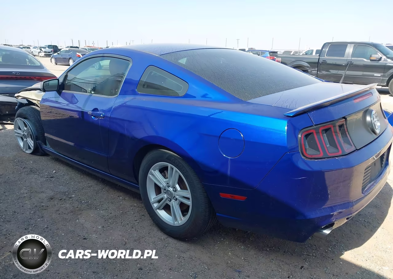 2013 Ford Mustang V6 VIN:1ZVBP8AM4D5262405 - 3