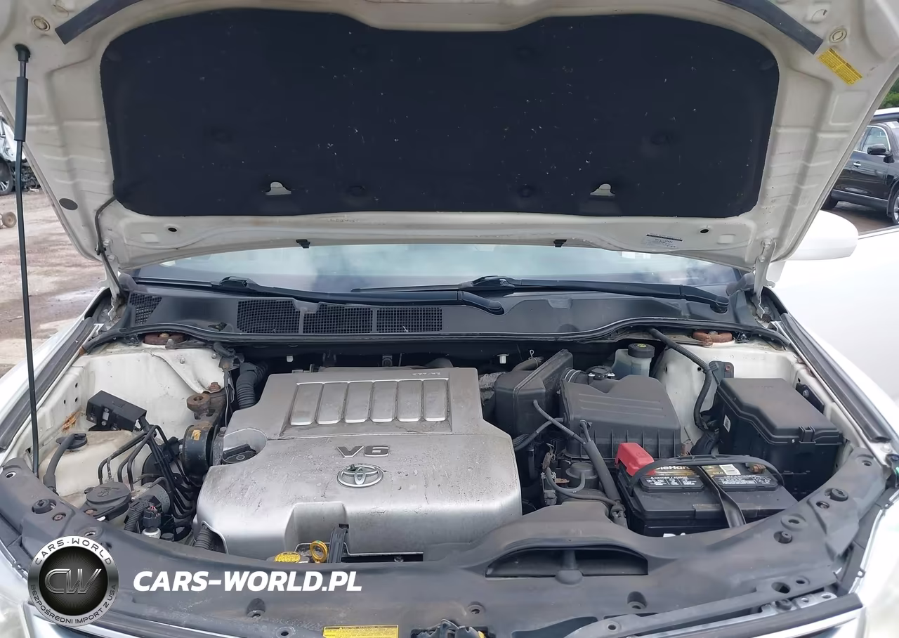 2009 Toyota Venza Base V6 VIN:4T3BK11A59U021967 - 10