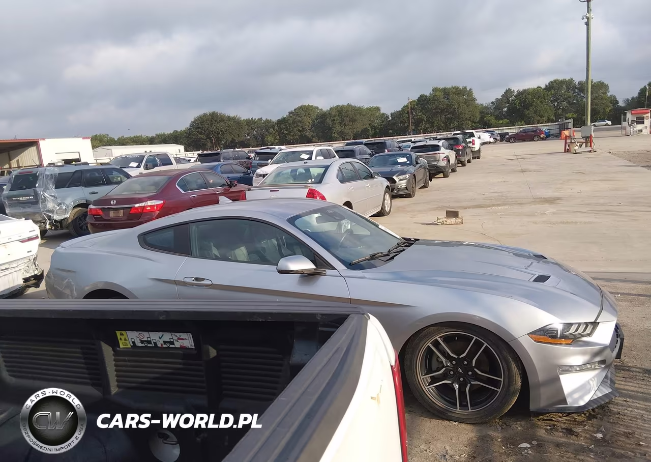 2022 Ford Mustang Ecoboost Premium Fastback VIN:1FA6P8TH4N5149551 - 13
