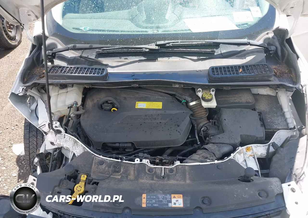 2014 Ford Escape Se VIN:1FMCU0GX6EUB42417 - 10