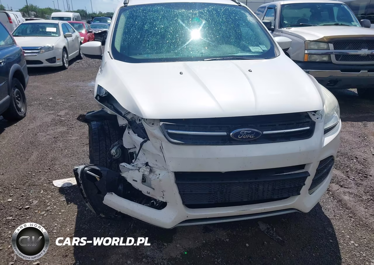 2014 Ford Escape Se VIN:1FMCU0GX6EUB42417 - 12