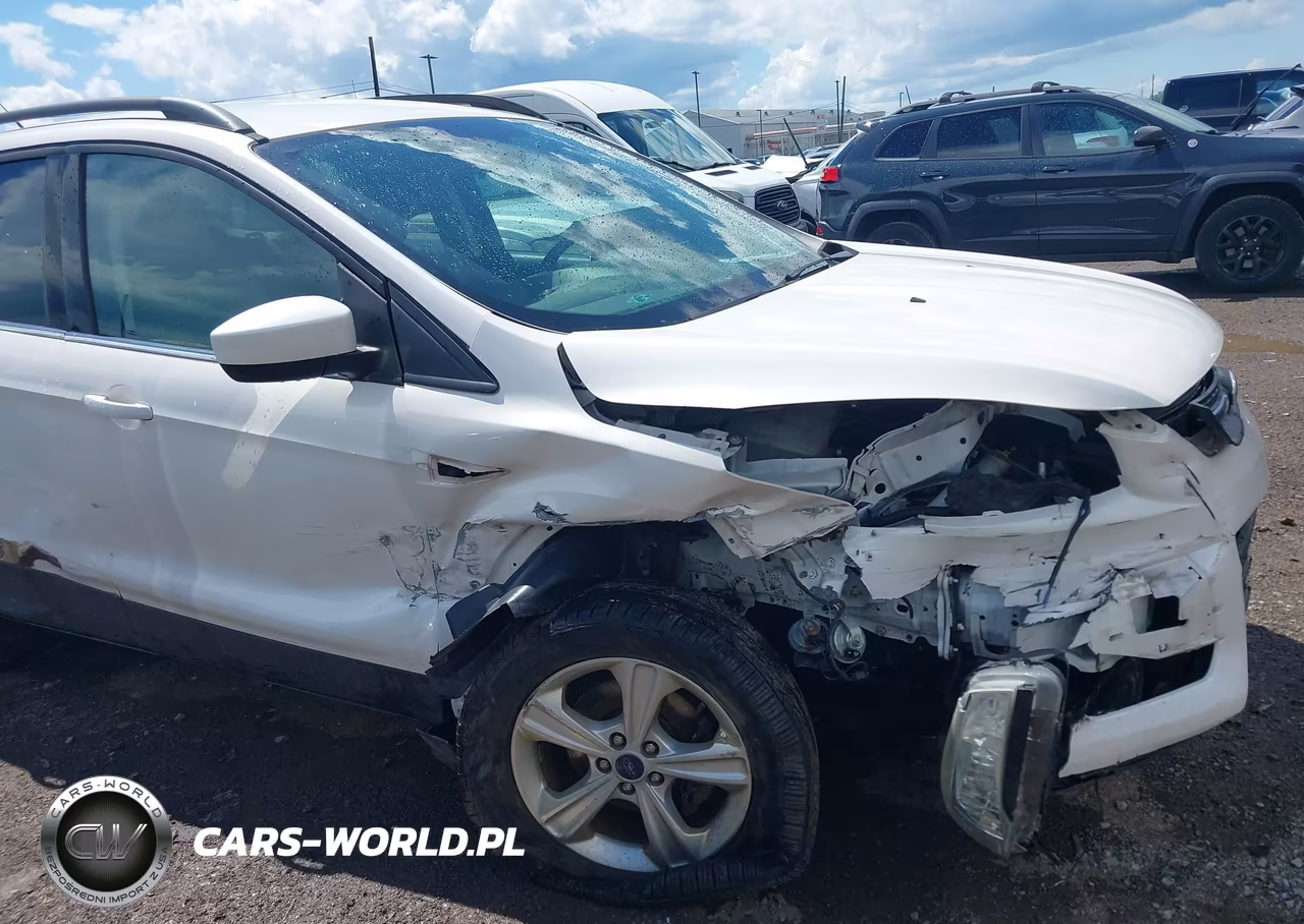 2014 Ford Escape Se VIN:1FMCU0GX6EUB42417 - 13