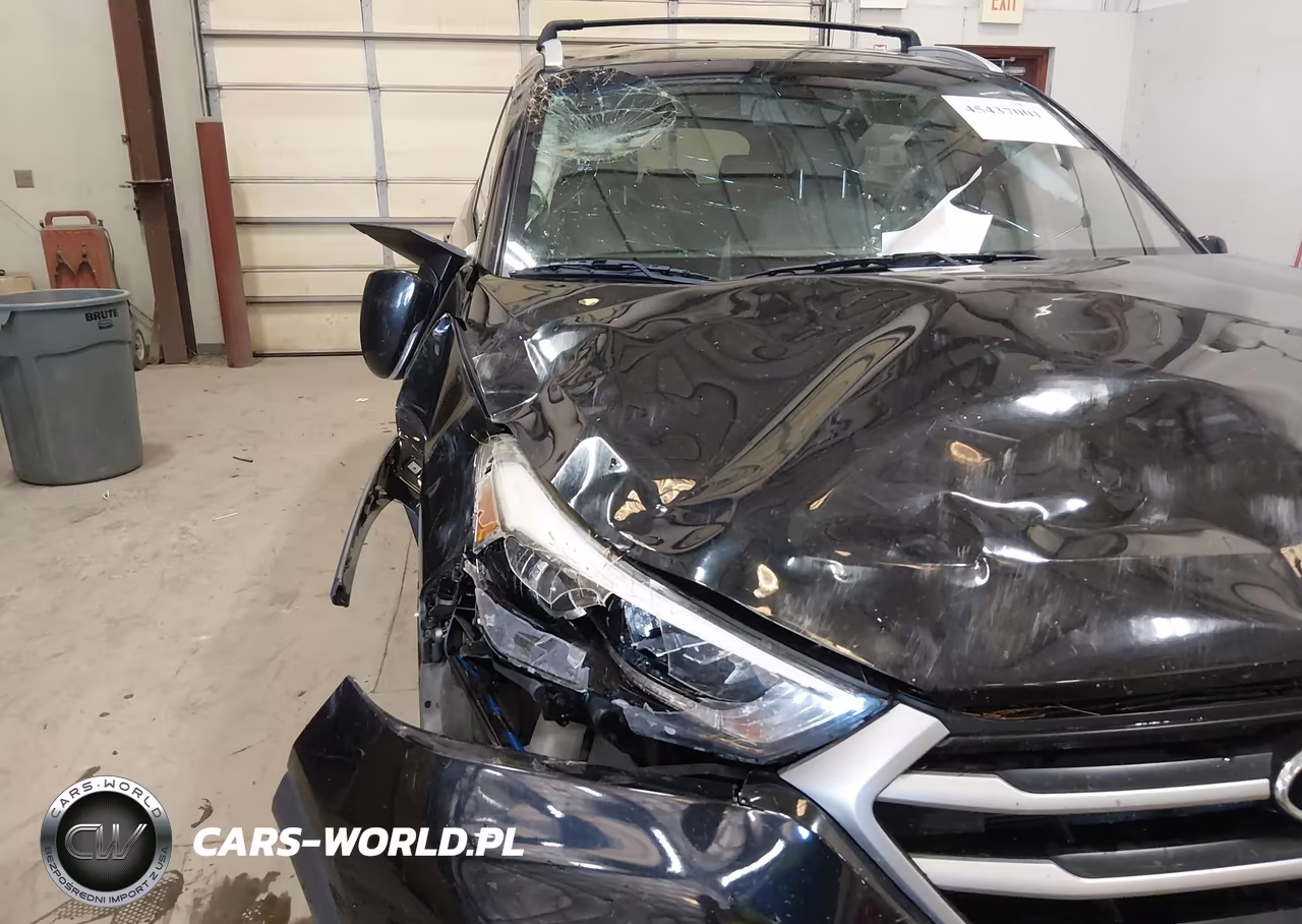 2017 Hyundai Tucson Se Plus VIN:KM8J3CA4XHU524495 - 6