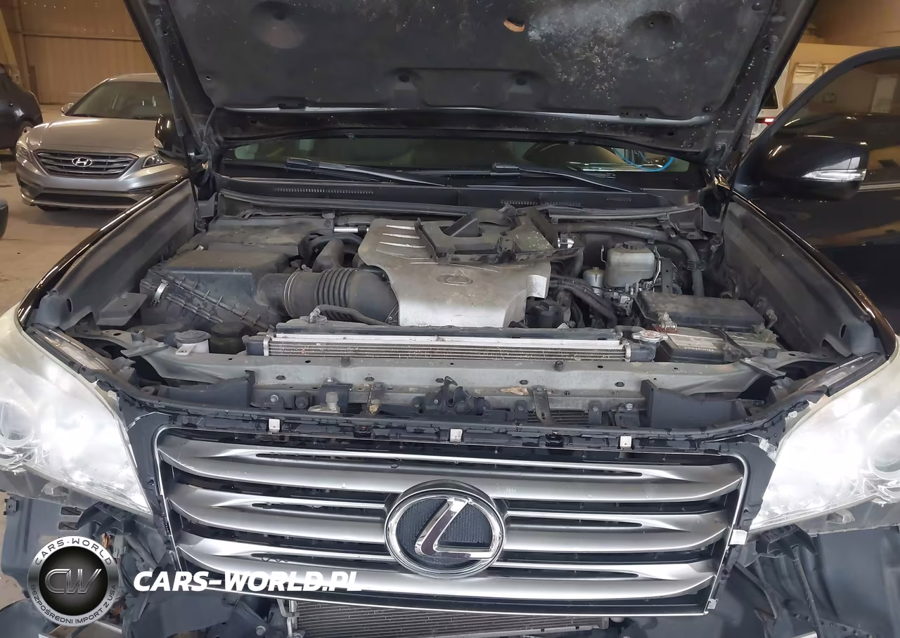 2011 Lexus Gx 460 Premium VIN:JTJJM7FX5B5030393 - 10