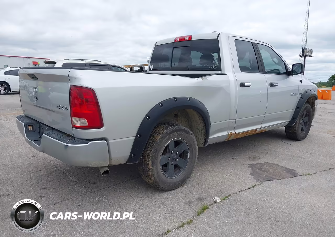 2010 Dodge Ram 1500 Slt-Sport-Trx VIN:1D7RV1GT6AS243466 - 4