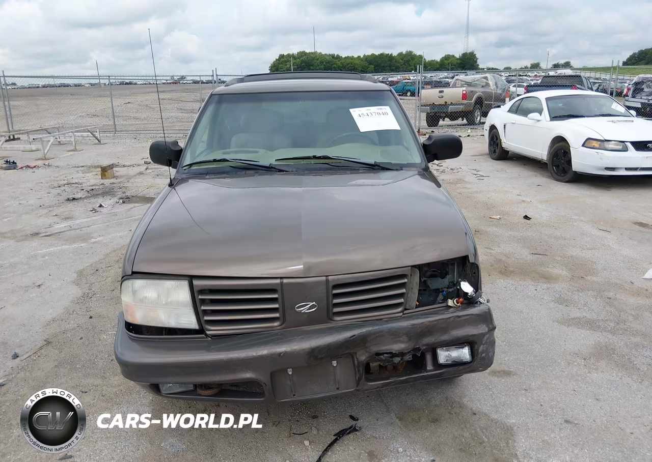 1999 Oldsmobile Bravada VIN:1GHDT13WXX2701586 - 13