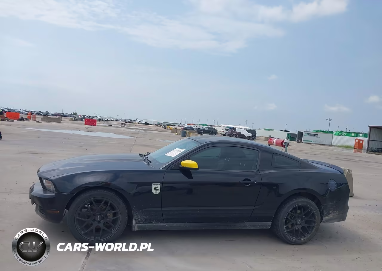 2010 Ford Mustang V6-V6 Premium VIN:1ZVBP8AN4A5146822 - 13