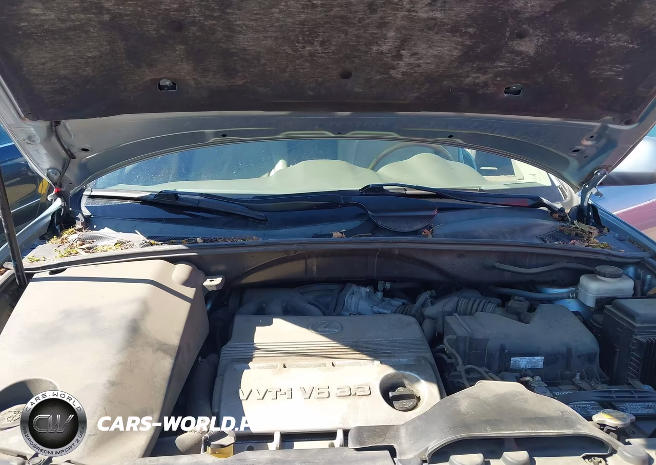 2006 Lexus Rx 330 VIN:2T2HA31U06C089159 - 10