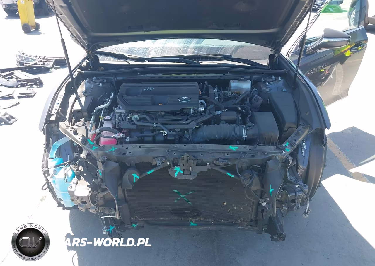 2023 Lexus Es 300H VIN:58ADA1C1XPU029411 - 10