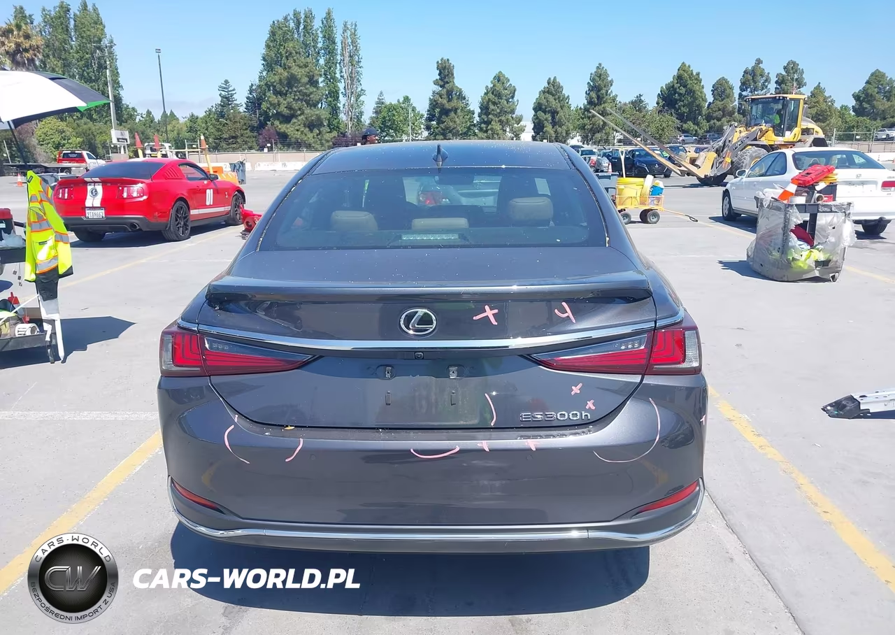 2023 Lexus Es 300H VIN:58ADA1C1XPU029411 - 17