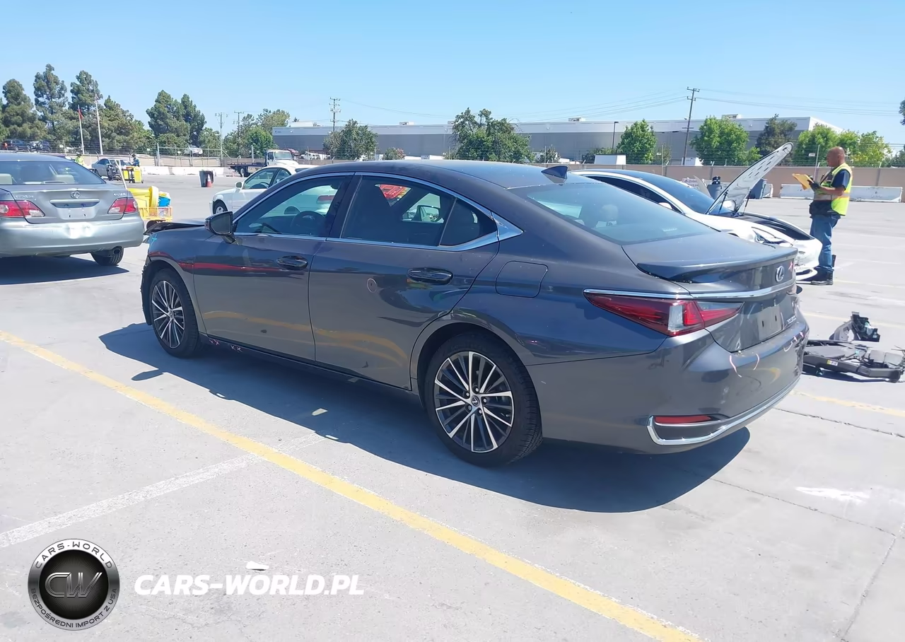 2023 Lexus Es 300H VIN:58ADA1C1XPU029411 - 3