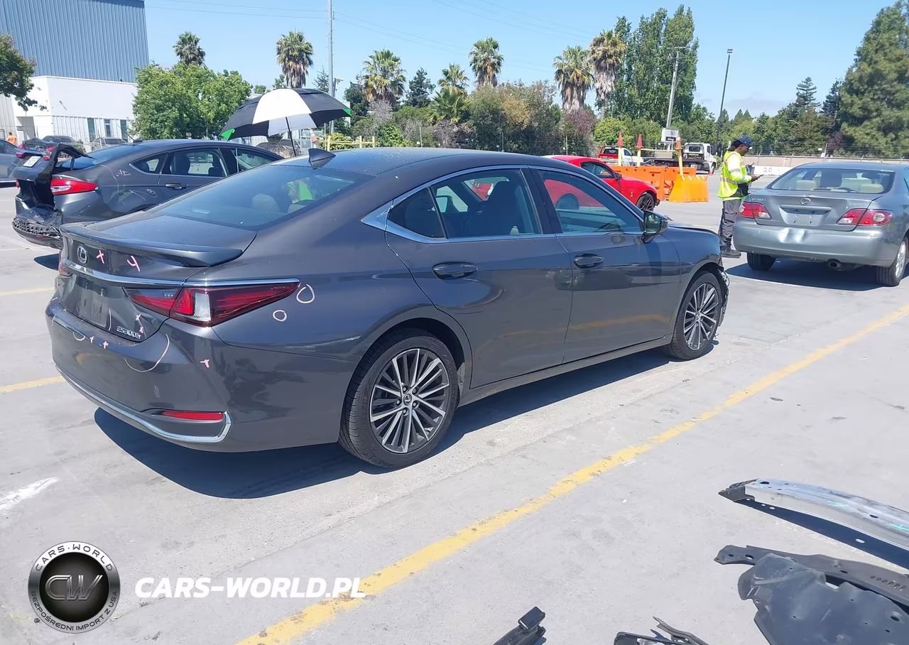 2023 Lexus Es 300H VIN:58ADA1C1XPU029411 - 4