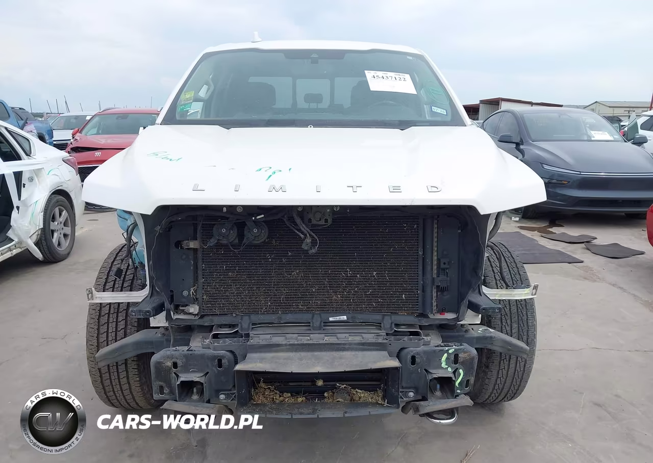 2019 Ford F-150 Limited VIN:1FTEW1EG1KFC64702 - 13