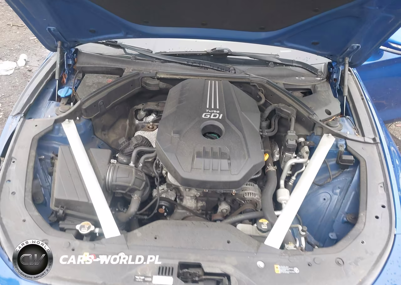 2019 Genesis G70 2.0T Advanced VIN:KMTG34LAXKU025731 - 10