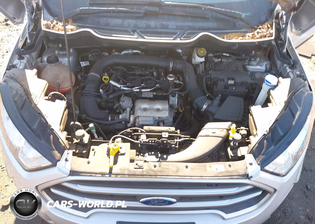 2018 Ford Ecosport Se VIN:MAJ3P1TEXJC179370 - 10