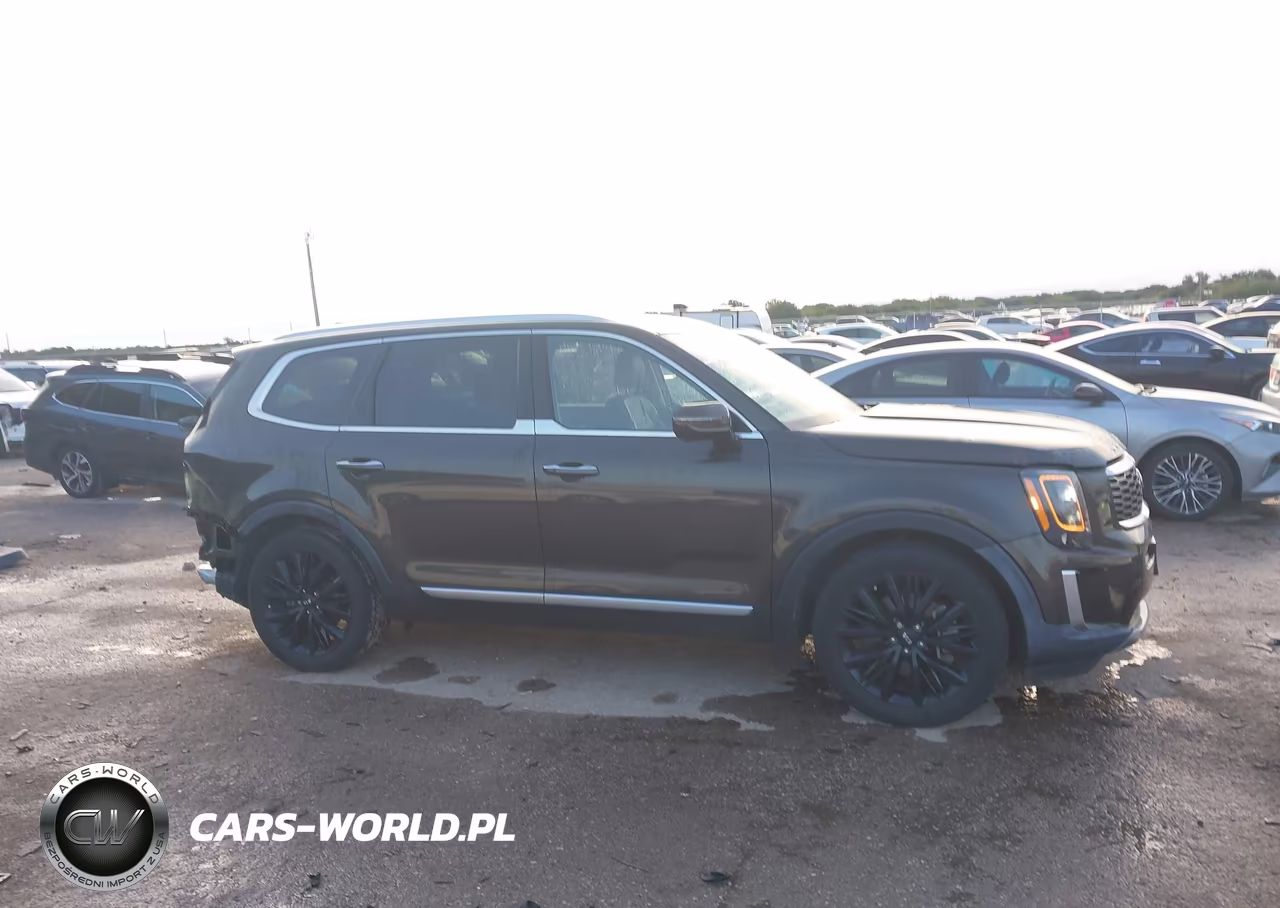 2020 Kia Telluride Sx VIN:5XYP5DHC8LG030853 - 12