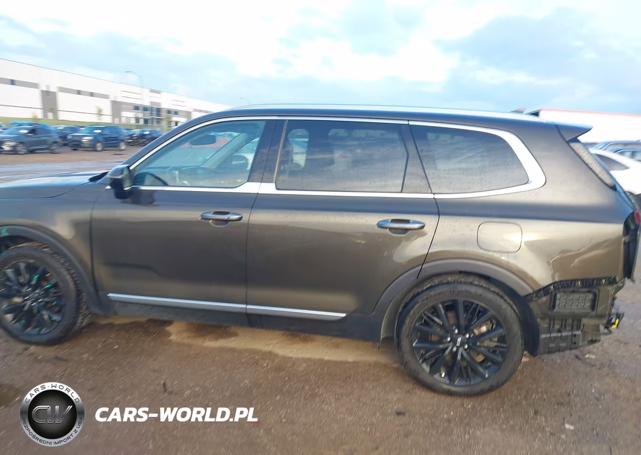 2020 Kia Telluride Sx VIN:5XYP5DHC8LG030853 - 13
