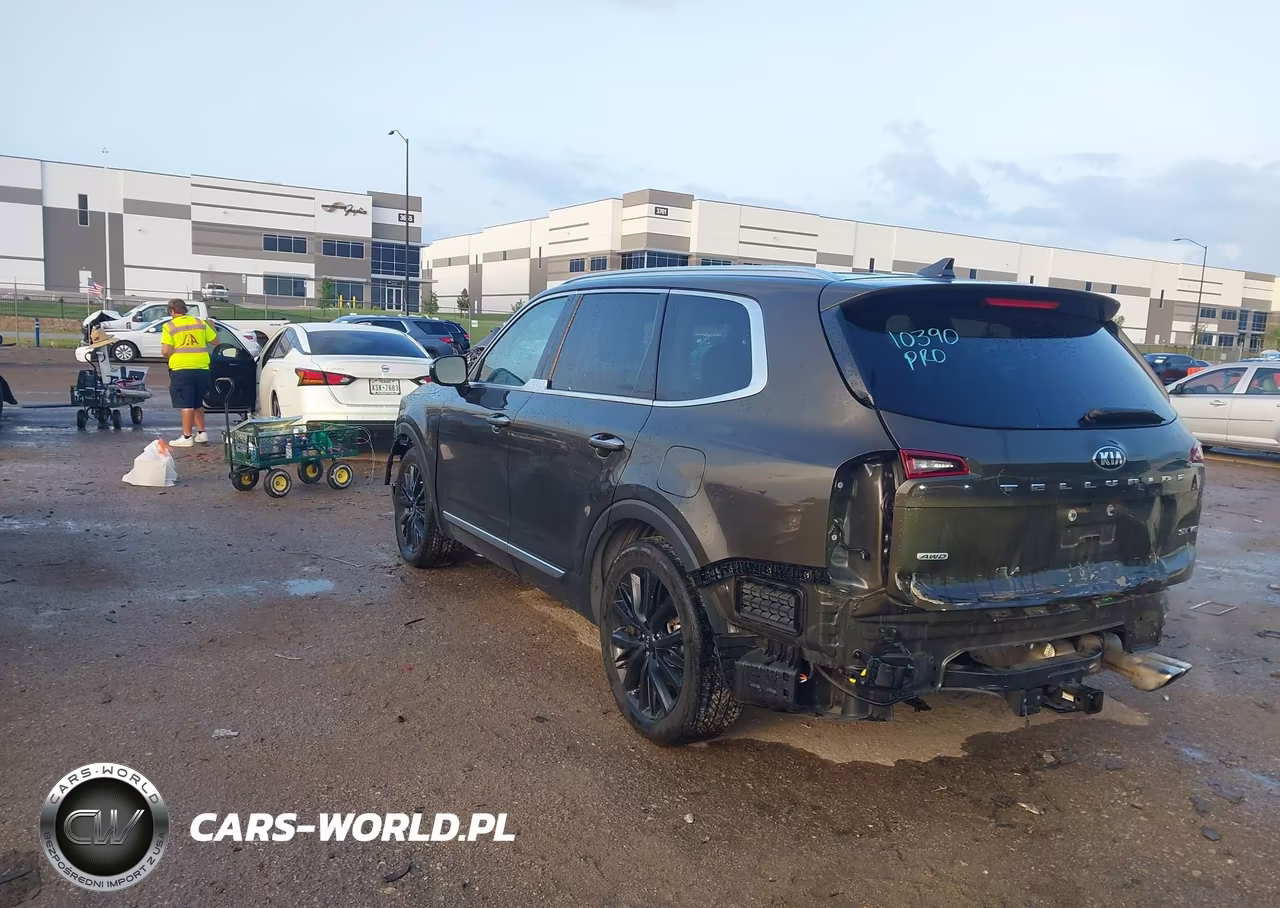 2020 Kia Telluride Sx VIN:5XYP5DHC8LG030853 - 3
