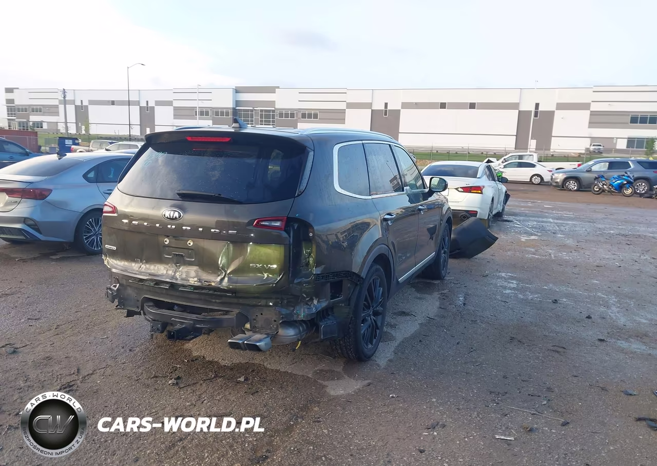 2020 Kia Telluride Sx VIN:5XYP5DHC8LG030853 - 4