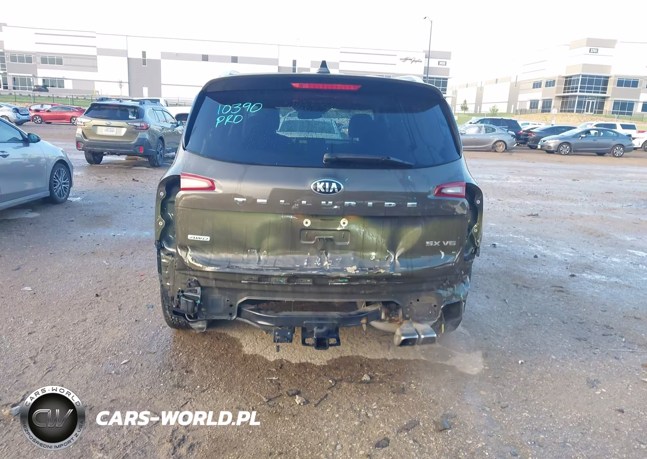 2020 Kia Telluride Sx VIN:5XYP5DHC8LG030853 - 6