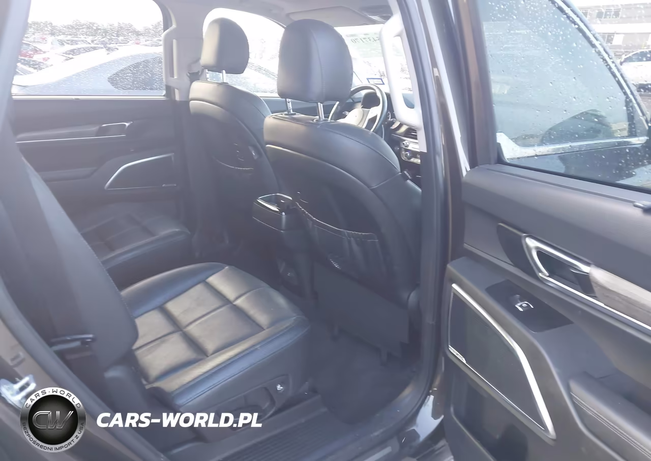 2020 Kia Telluride Sx VIN:5XYP5DHC8LG030853 - 8