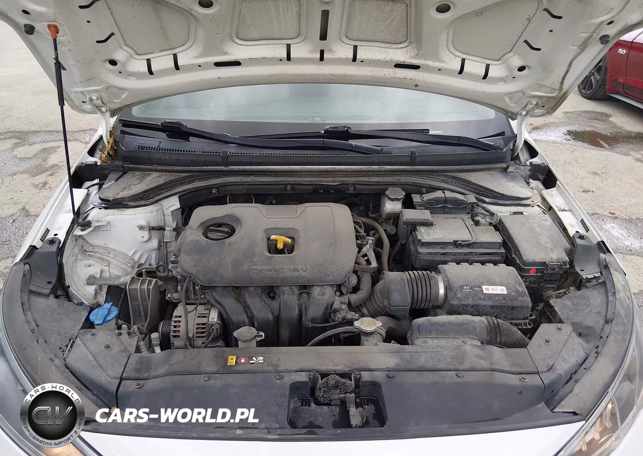 2019 Hyundai Elantra Se VIN:5NPD74LFXKH486228 - 10