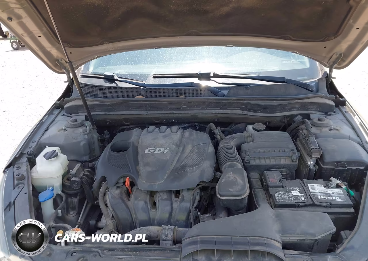 2015 Kia Optima Lx VIN:5XXGM4A79FG358257 - 10