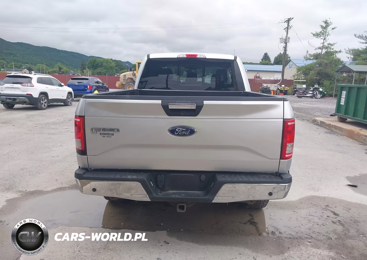 2016 Ford F-150 Xlt VIN:1FTEX1EP6GFC81466 - 16