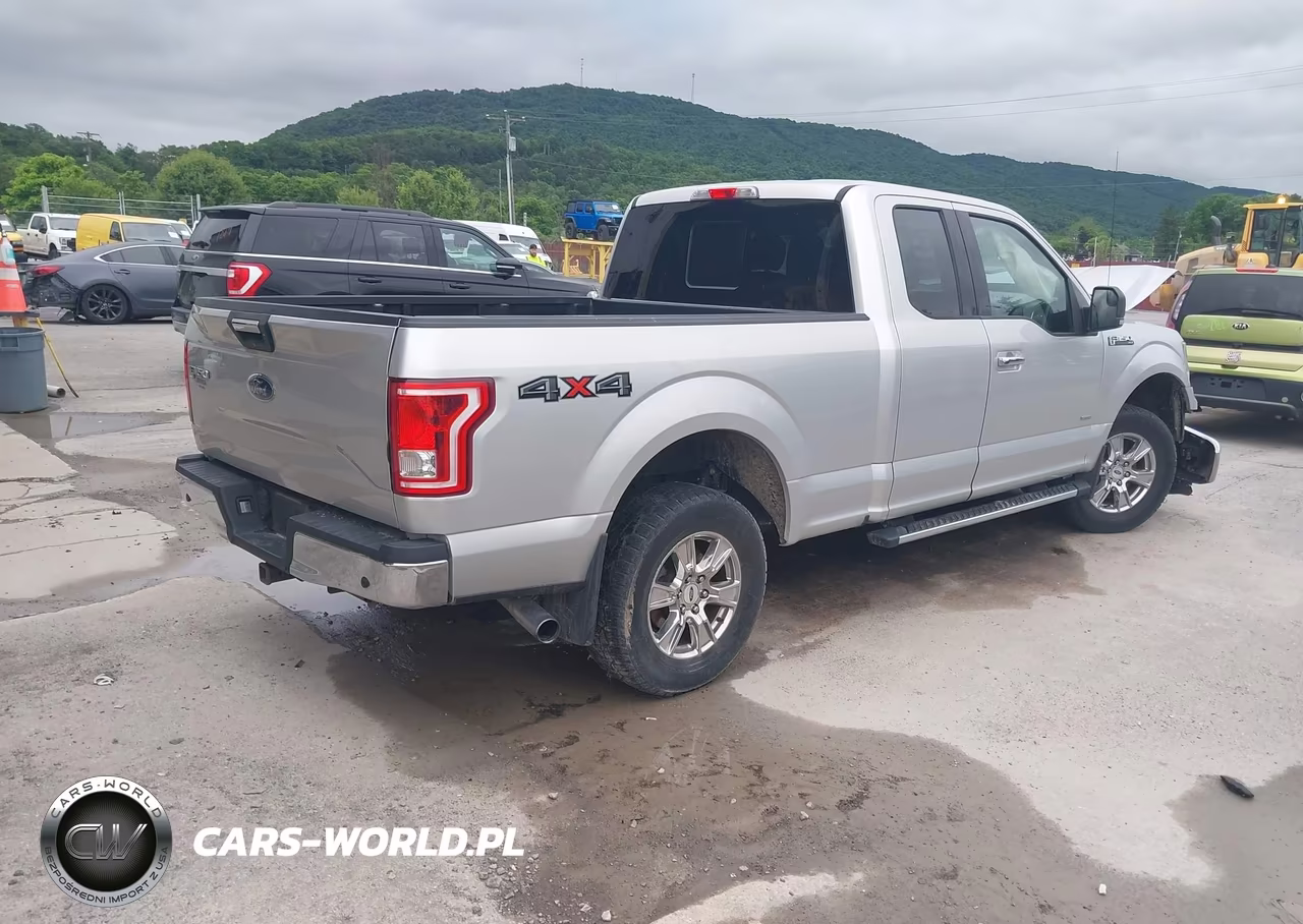 2016 Ford F-150 Xlt VIN:1FTEX1EP6GFC81466 - 4