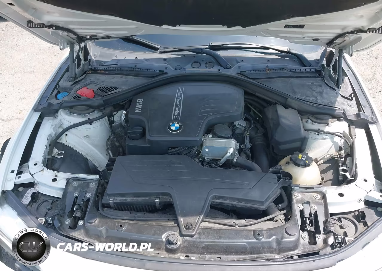 2016 BMW 320 I VIN:WBA8A9C50GK619026 - 10