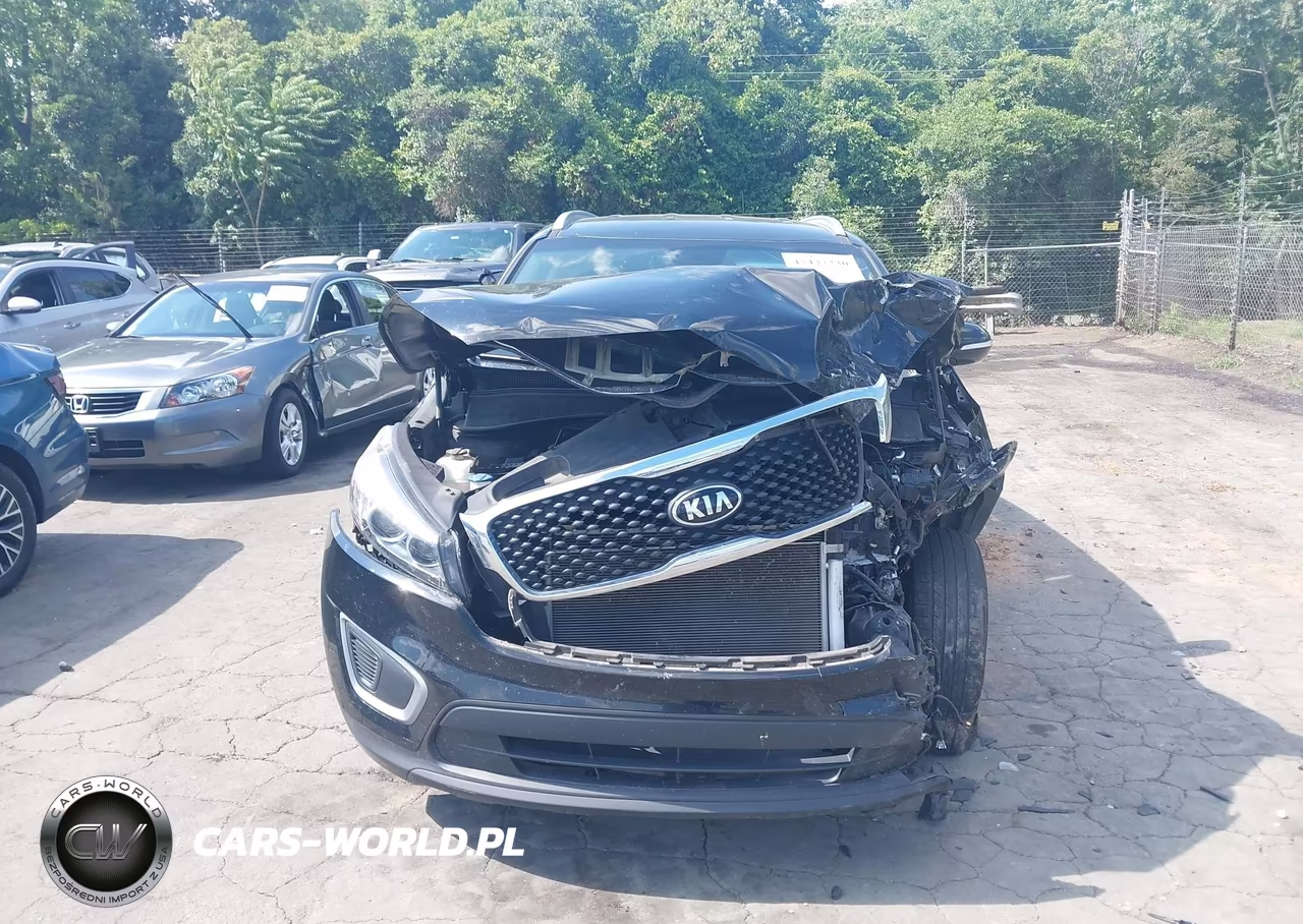 2018 Kia Sorento 2.4L Lx VIN:5XYPGDA33JG369991 - 12