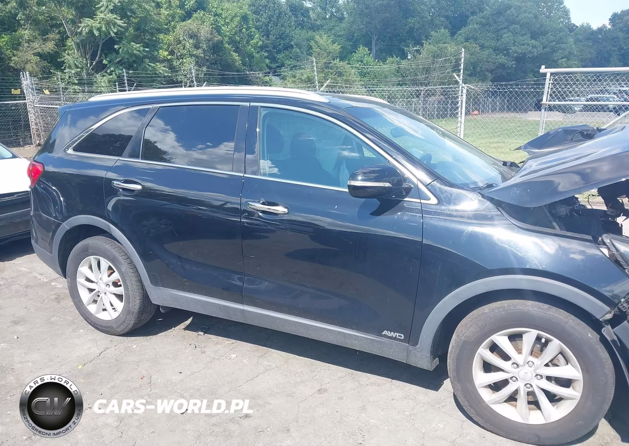 2018 Kia Sorento 2.4L Lx VIN:5XYPGDA33JG369991 - 13
