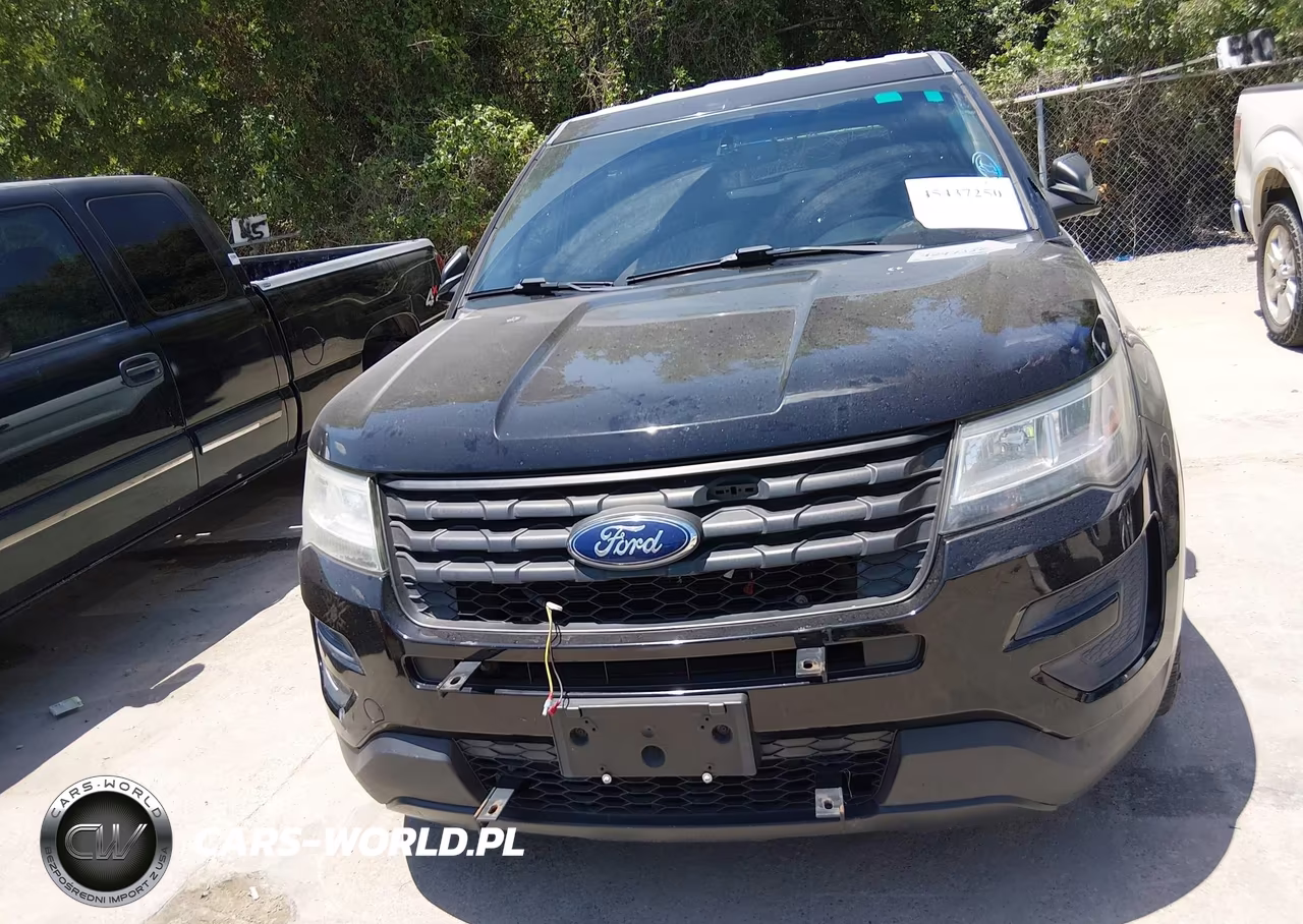 2016 Ford Utility Police Interceptor VIN:1FM5K8AR3GGD30790 - 6