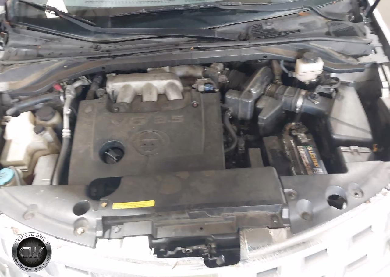 2004 Nissan Murano Sl VIN:JN8AZ08T74W209865 - 10