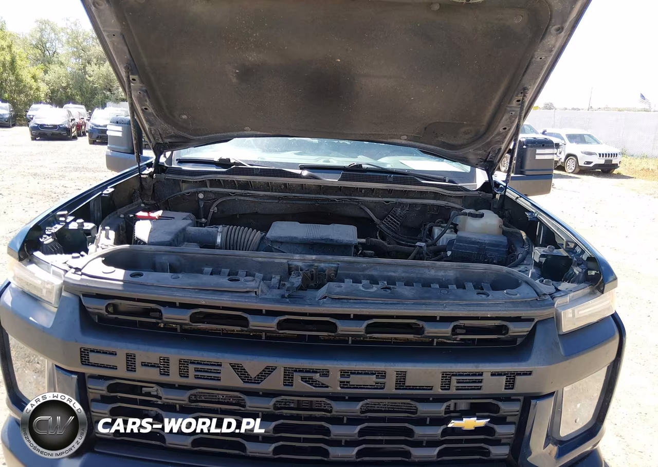 2020 Chevrolet Silverado 2500Hd 4Wd Long Bed Wt VIN:1GC5YLE70LF305635 - 10