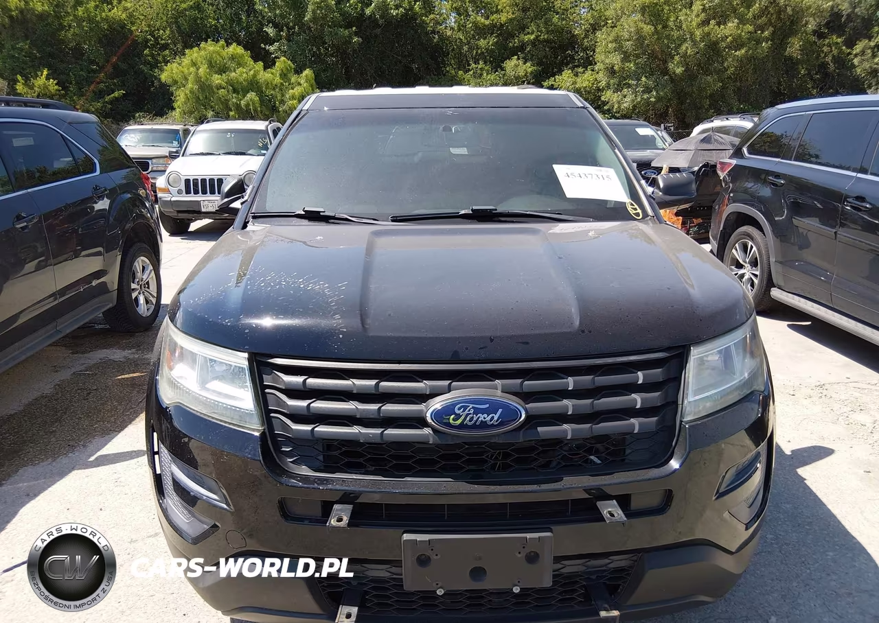 2016 Ford Utility Police Interceptor VIN:1FM5K8AR9GGD16456 - 6