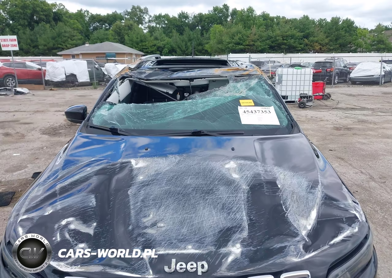 2019 Jeep Cherokee Limited 4X4 VIN:1C4PJMDN4KD214509 - 12