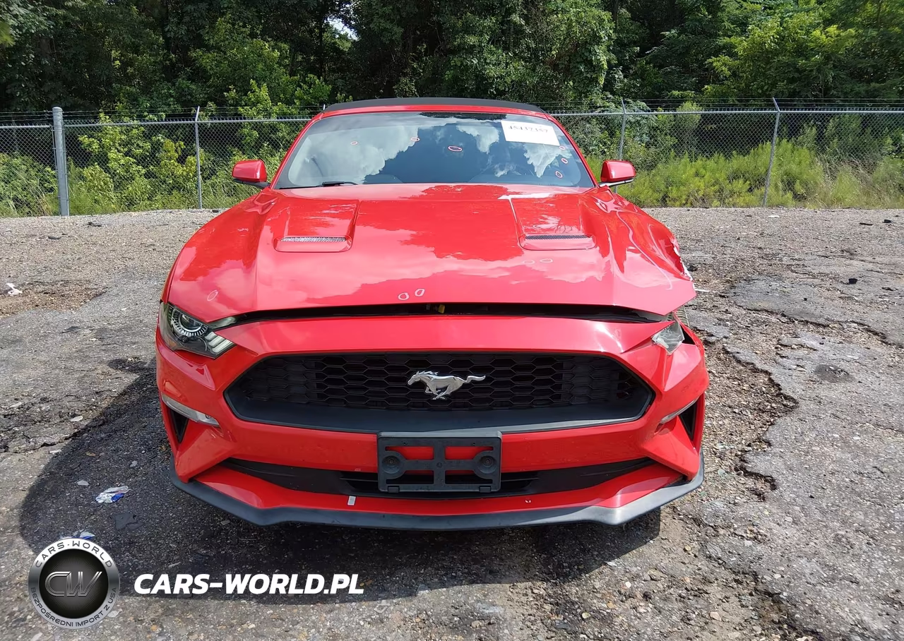 2018 Ford Mustang Ecoboost-Ecoboost Premium VIN:1FATP8UH4J5133541 - 12
