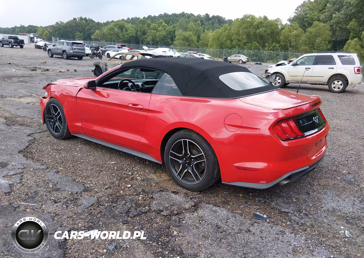 2018 Ford Mustang Ecoboost-Ecoboost Premium VIN:1FATP8UH4J5133541 - 3