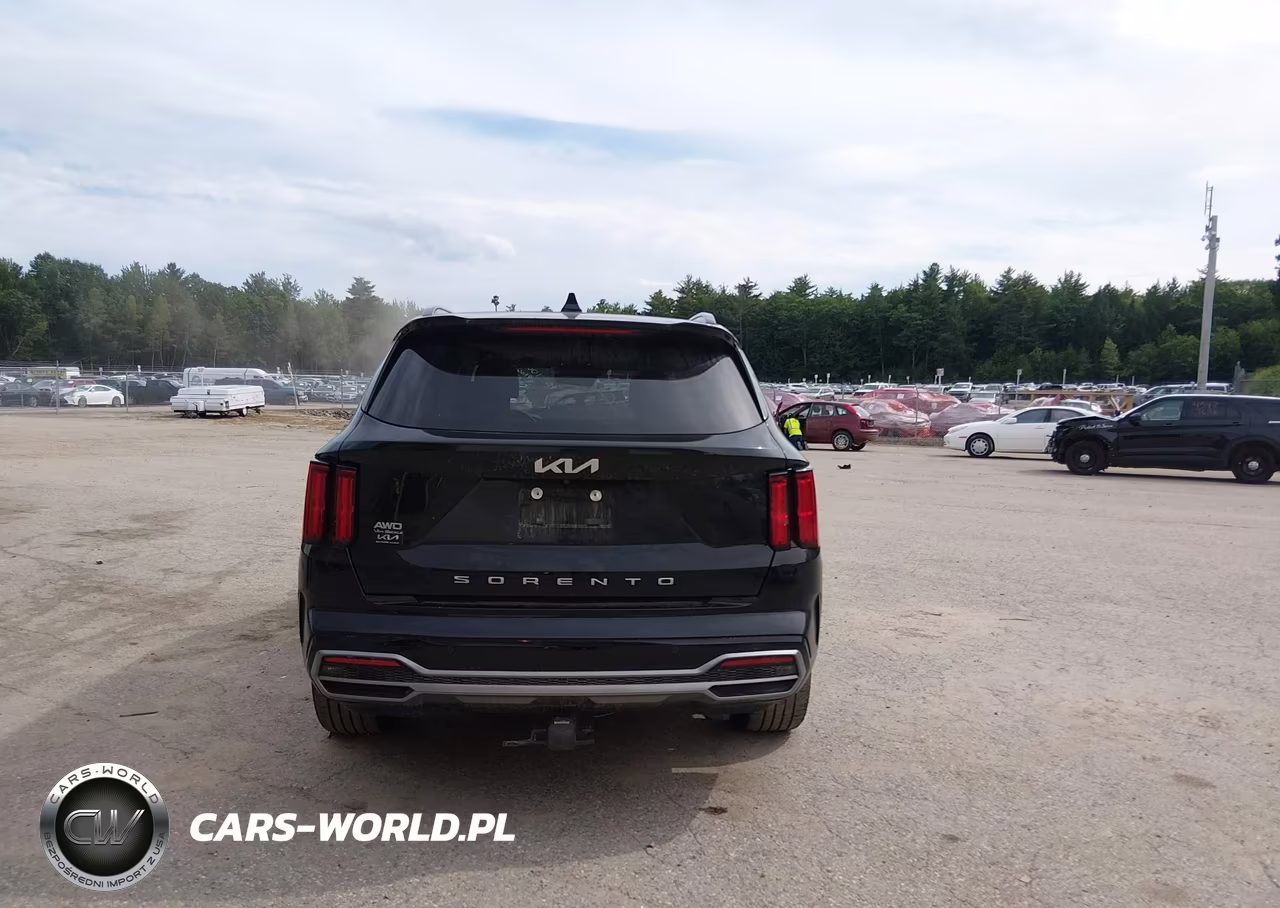 2022 Kia Sorento Sx VIN:5XYRKDLFXNG134704 - 17