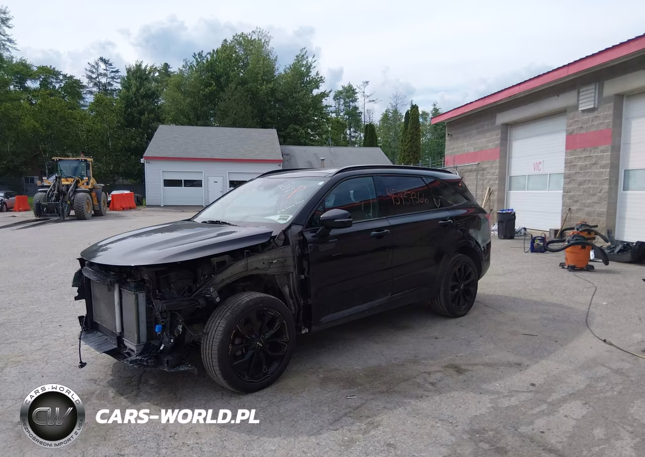2022 Kia Sorento Sx VIN:5XYRKDLFXNG134704 - 2