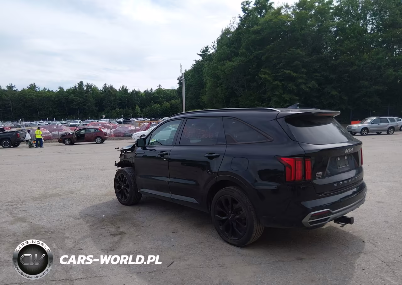 2022 Kia Sorento Sx VIN:5XYRKDLFXNG134704 - 3