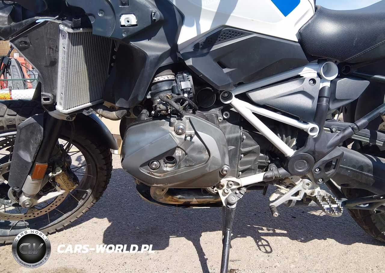 2021 BMW R 1250 Gs VIN:WB10M0307M6E33205 - 9