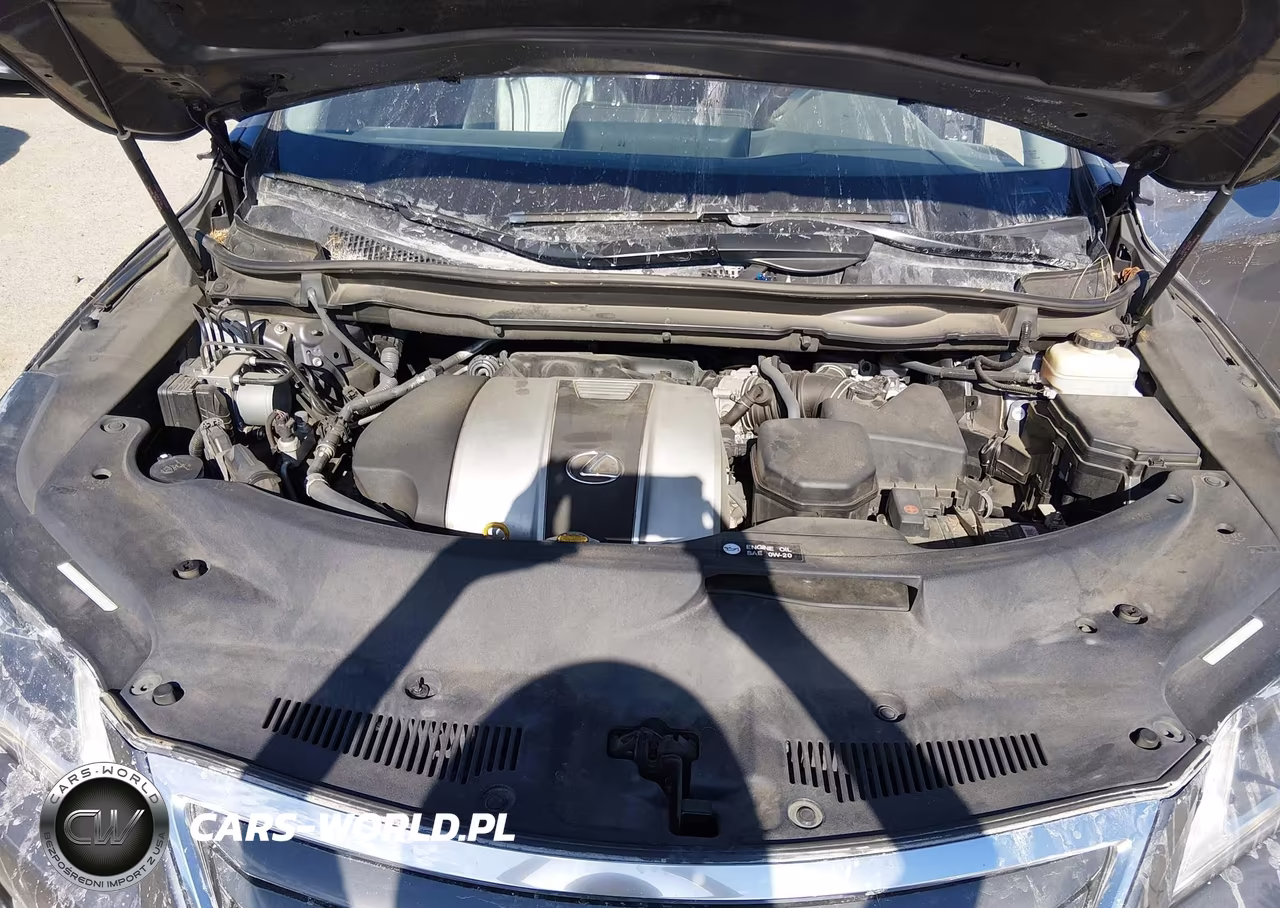 2017 Lexus Rx 350 VIN:2T2BZMCA5HC056054 - 10