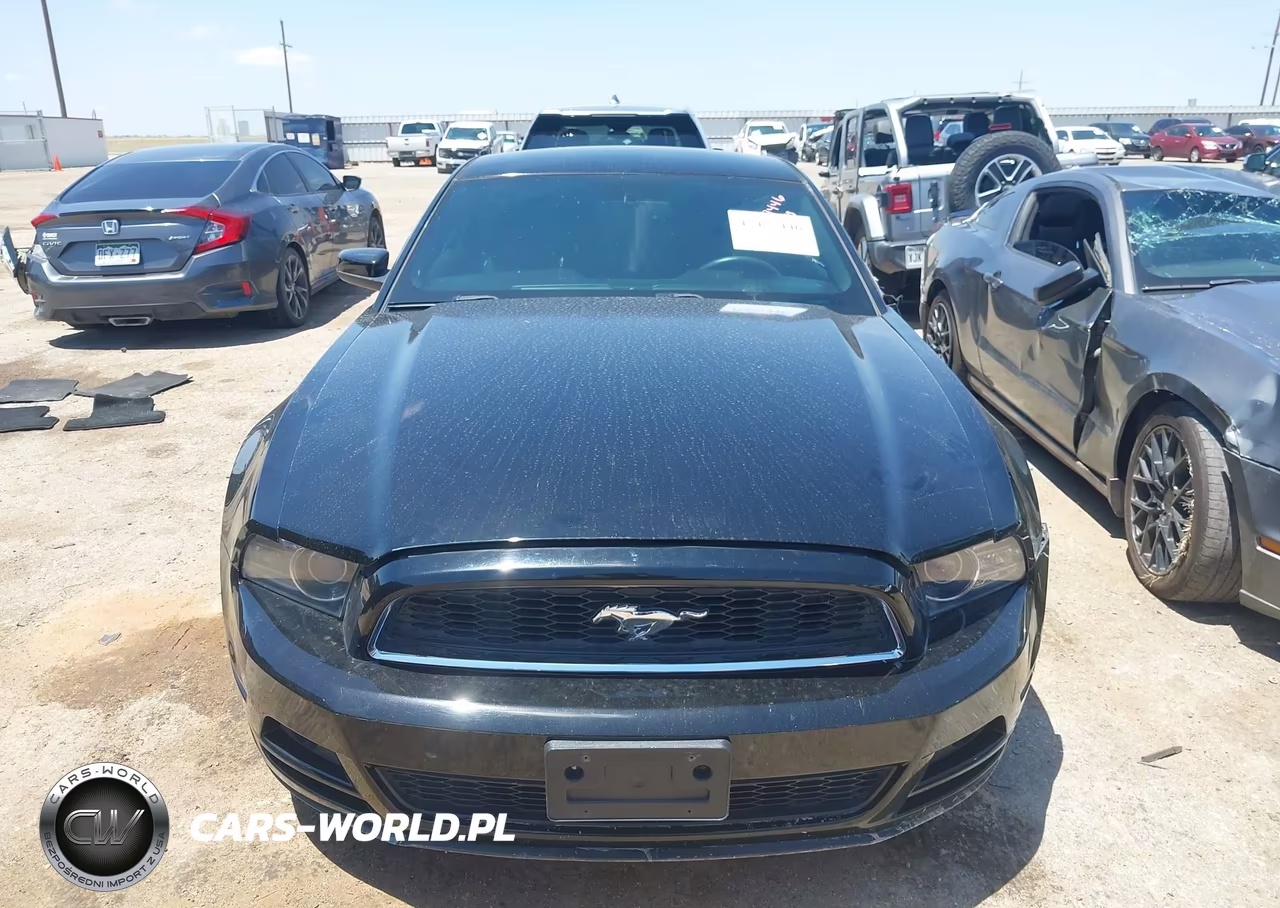 2014 Ford Mustang V6-V6 Premium VIN:1ZVBP8AM0E5266274 - 13